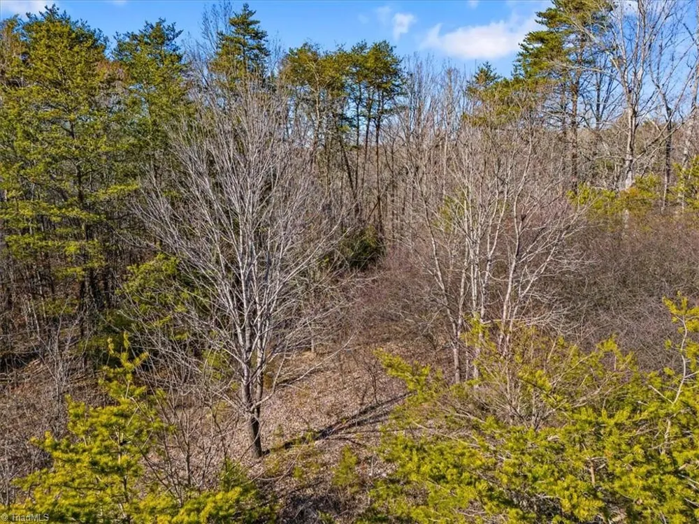 7350 Hidden View Drive Oak Ridge, NC 27310