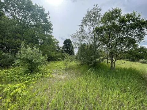 Smith Road