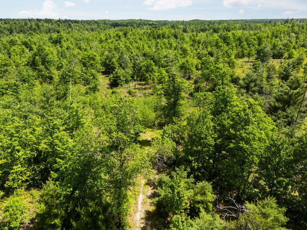 4011 W Forest Road Forest Township, MI 49651