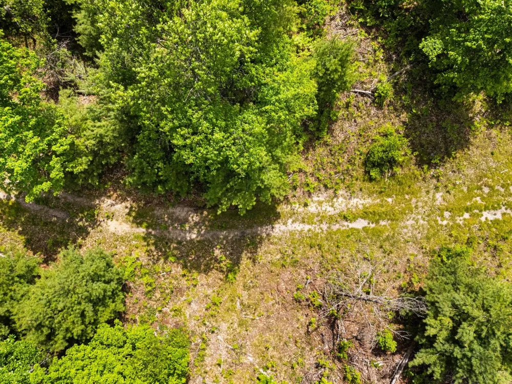 4011 W Forest Road Forest Township, MI 49651
