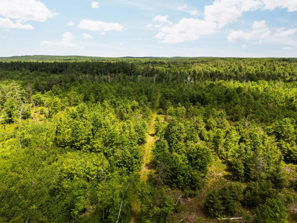 4011 W Forest Road Forest Township, MI 49651