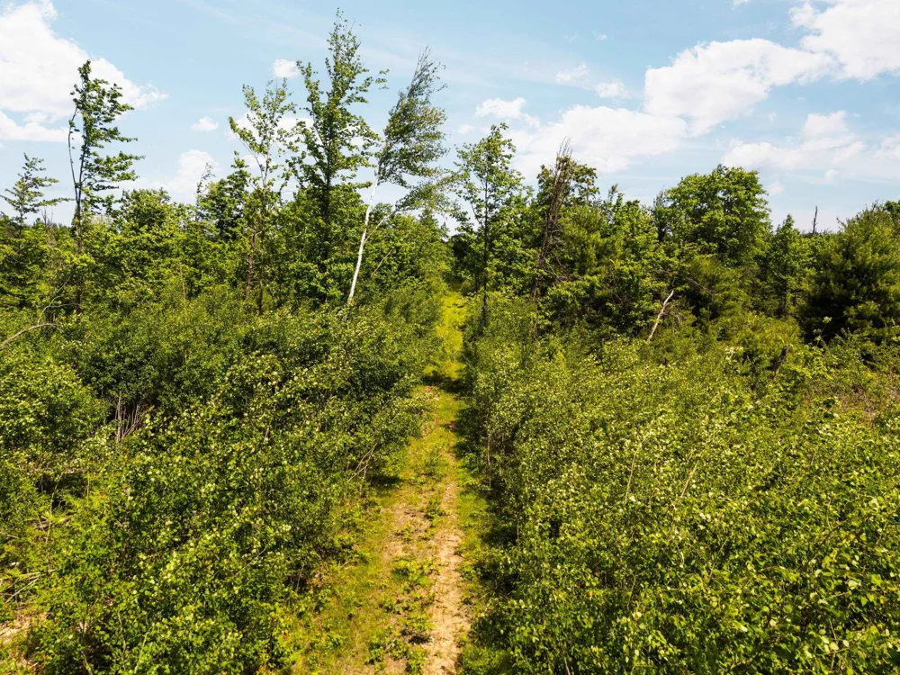 4011 W Forest Road Forest Township, MI 49651