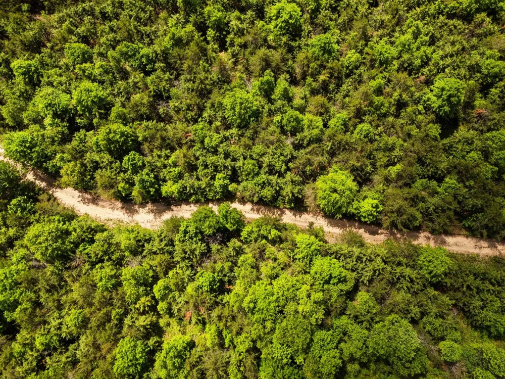 4011 W Forest Road Forest Township, MI 49651