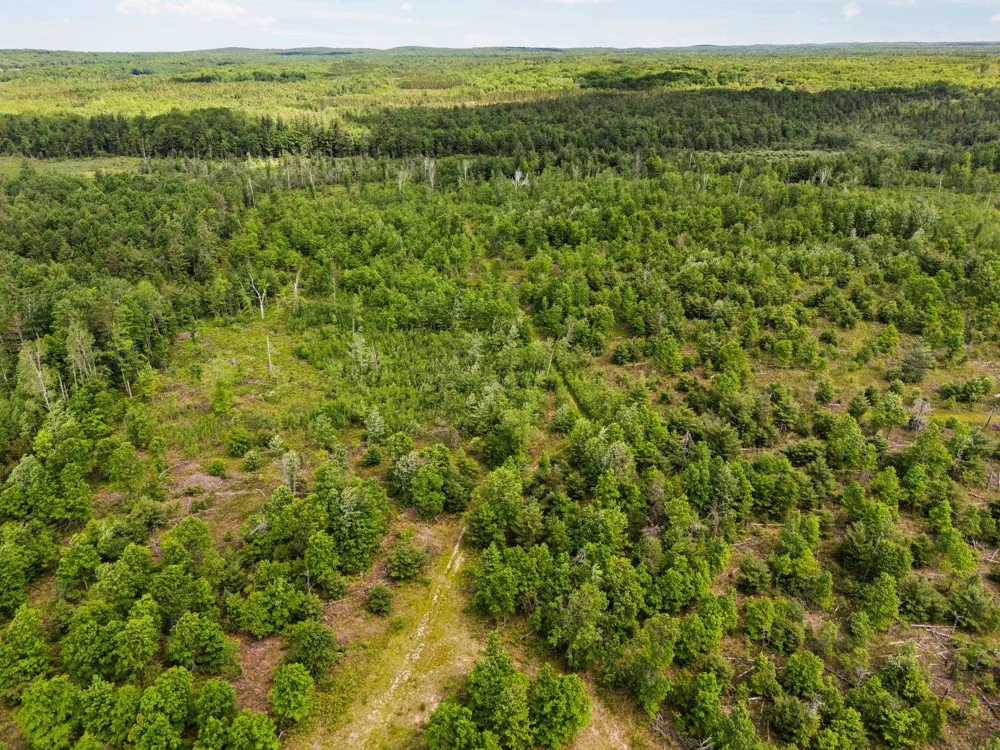 4011 W Forest Road Forest Township, MI 49651