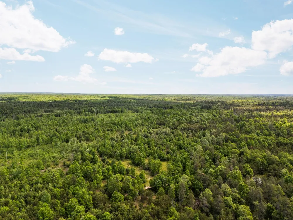 4011 W Forest Road Forest Township, MI 49651