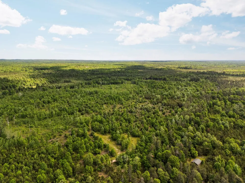 4011 W Forest Road Forest Township, MI 49651