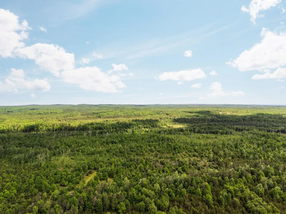 4011 W Forest Road Forest Township, MI 49651
