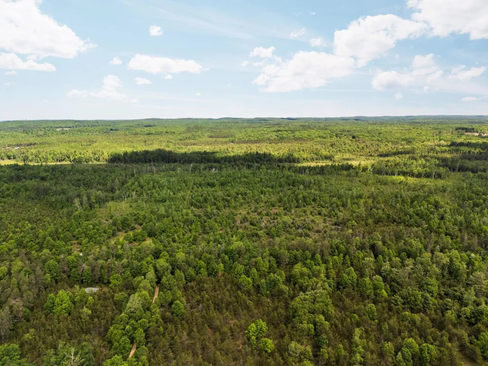 4011 W Forest Road Forest Township, MI 49651
