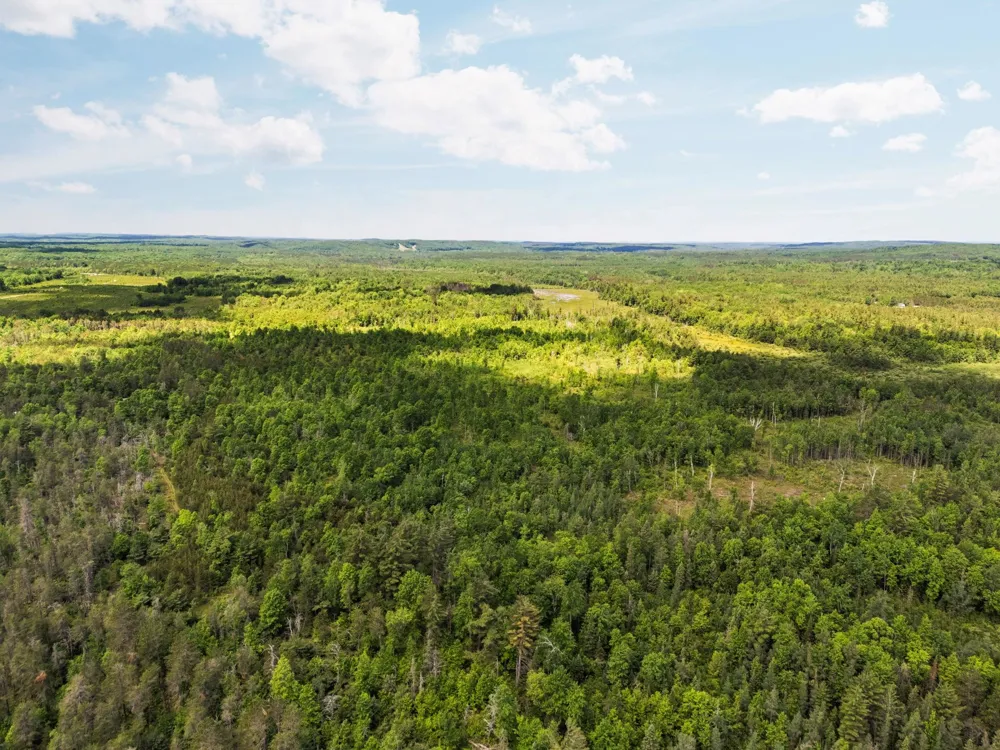 4011 W Forest Road Forest Township, MI 49651