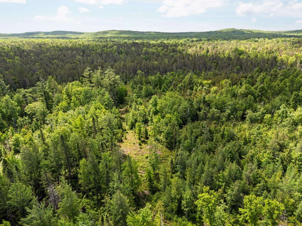 4011 W Forest Road Forest Township, MI 49651