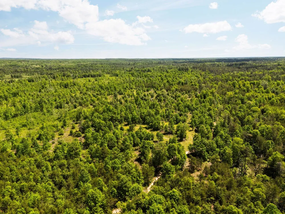 4011 W Forest Road Forest Township, MI 49651
