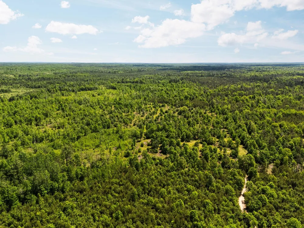 4011 W Forest Road Forest Township, MI 49651