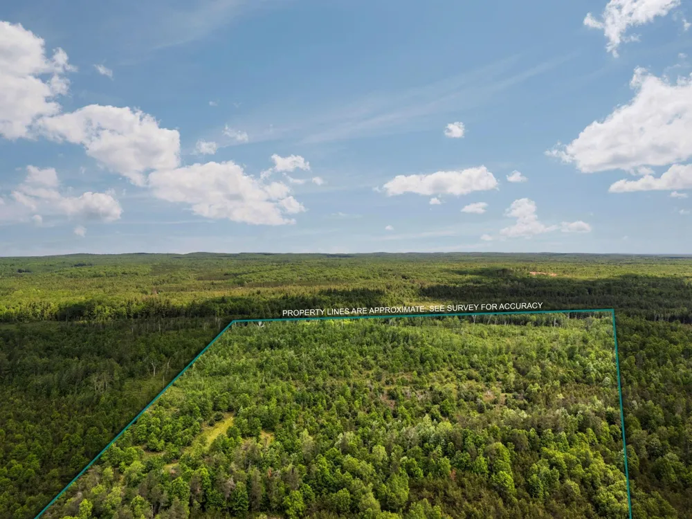 4011 W Forest Road Forest Township, MI 49651