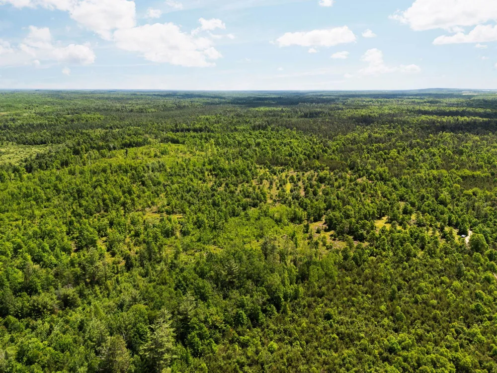 4011 W Forest Road Forest Township, MI 49651