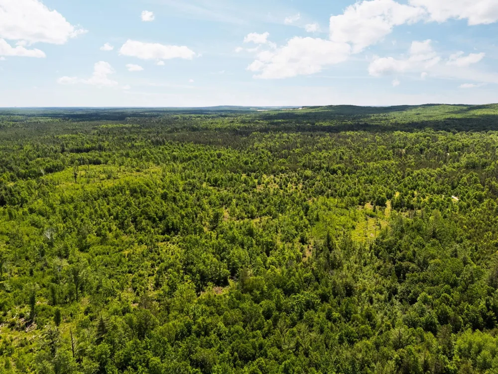 4011 W Forest Road Forest Township, MI 49651