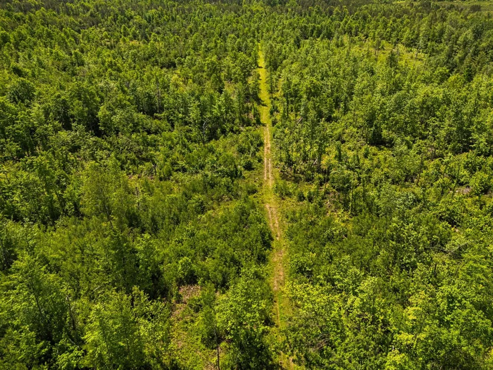 4011 W Forest Road Forest Township, MI 49651
