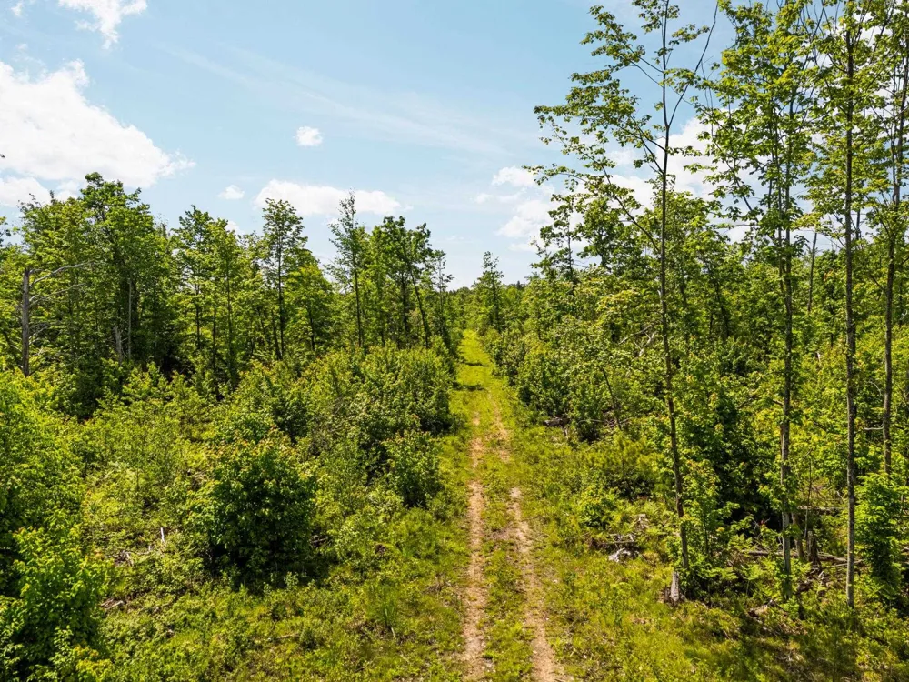 4011 W Forest Road Forest Township, MI 49651