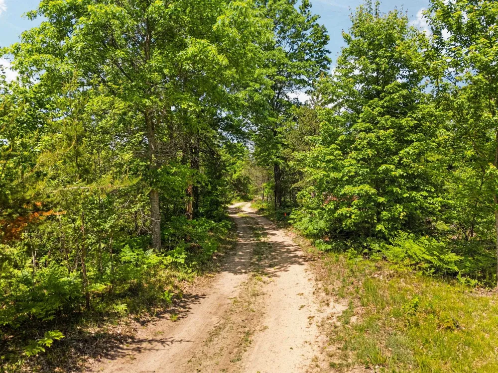 4011 W Forest Road Forest Township, MI 49651