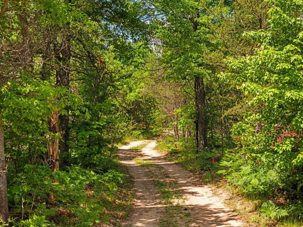 4011 W Forest Road Forest Township, MI 49651