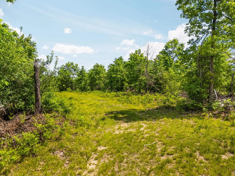 4011 W Forest Road Forest Township, MI 49651