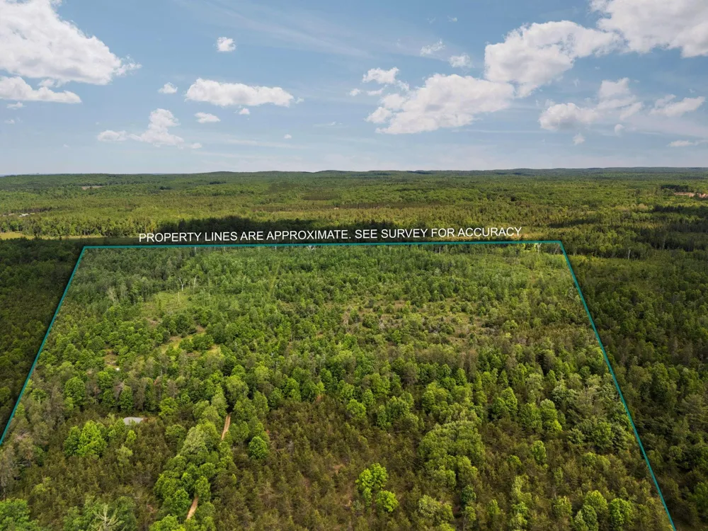 4011 W Forest Road Forest Township, MI 49651