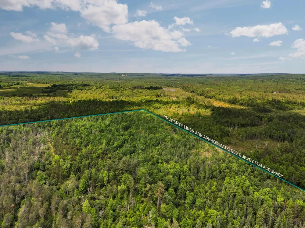 4011 W Forest Road Forest Township, MI 49651