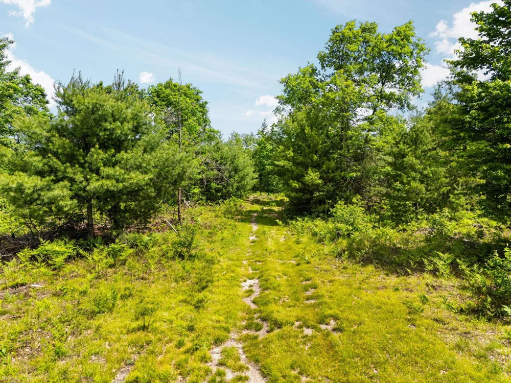 4011 W Forest Road Forest Township, MI 49651