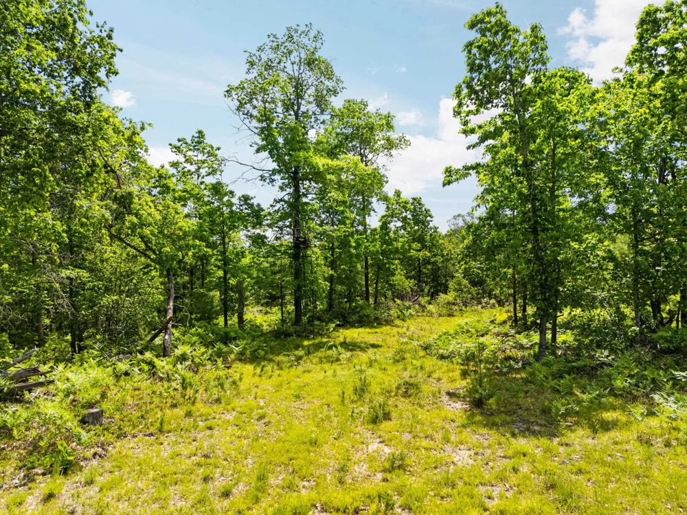 4011 W Forest Road Forest Township, MI 49651