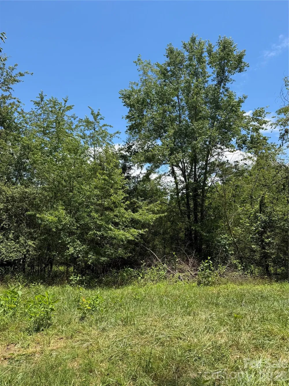 295 Old Mill Road Lake Lure, NC 28746