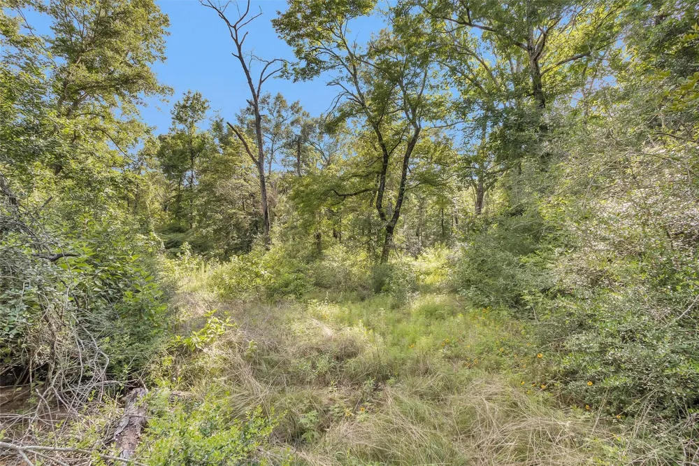 14657 Cedar Lane Loop Willis, TX 77378