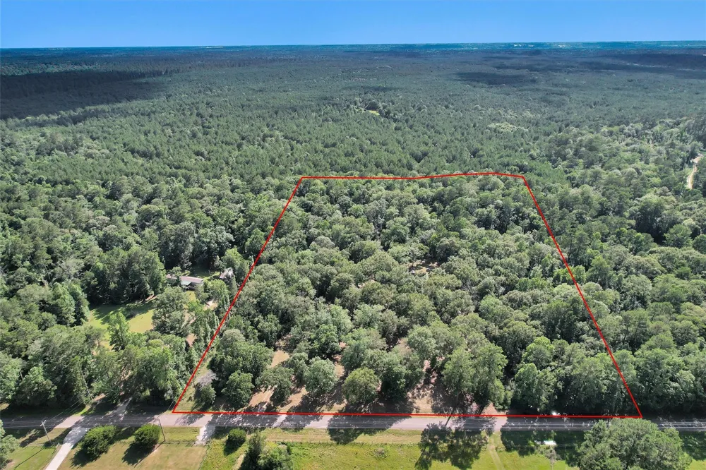 14657 Cedar Lane Loop Willis, TX 77378