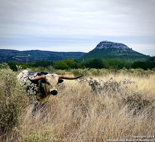 LOT 4B 22819 S. Hwy 55 Uvalde, TX 78801
