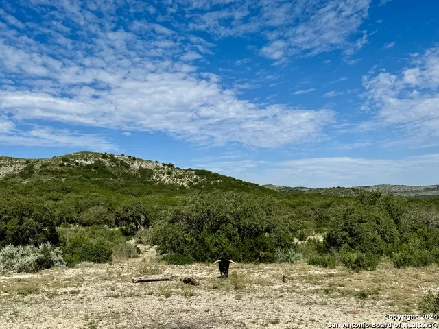 LOT 4B 22819 S. Hwy 55 Uvalde, TX 78801