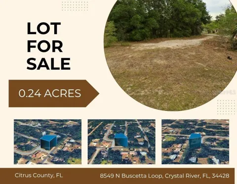 8549 BUSCETTA LOOP
