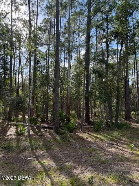 207 Ocala Court