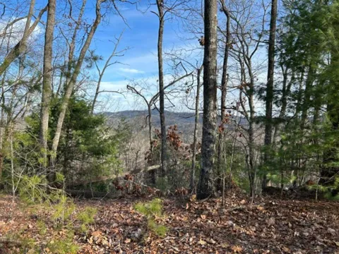 Lot 46 Mission Ridge