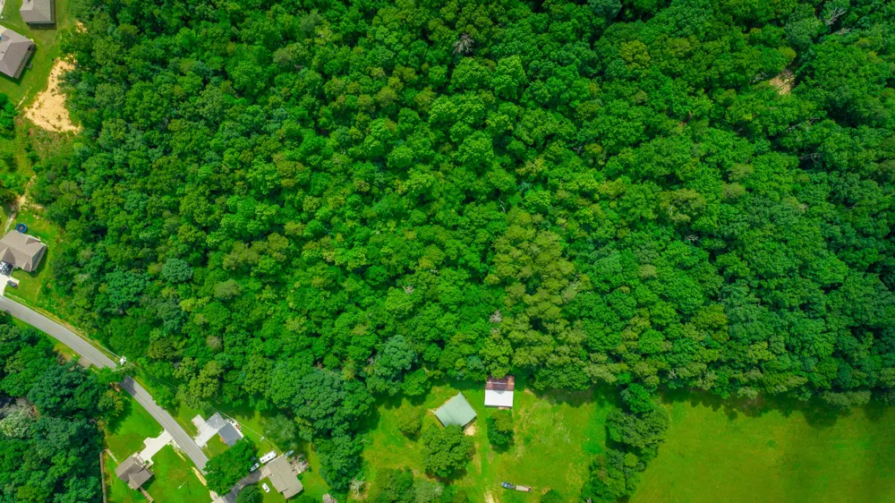1230 Baggett Road Ringgold, GA 30736