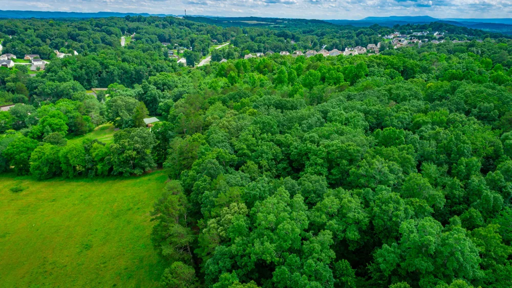 1230 Baggett Road Ringgold, GA 30736