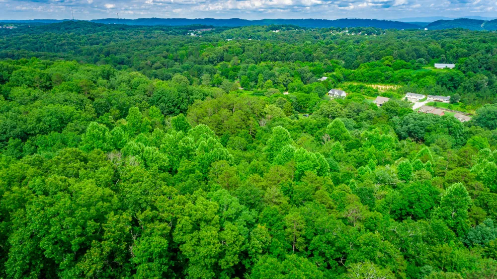 1230 Baggett Road Ringgold, GA 30736