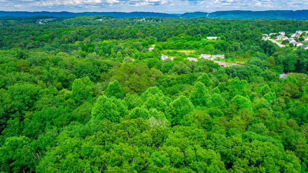 1230 Baggett Road Ringgold, GA 30736