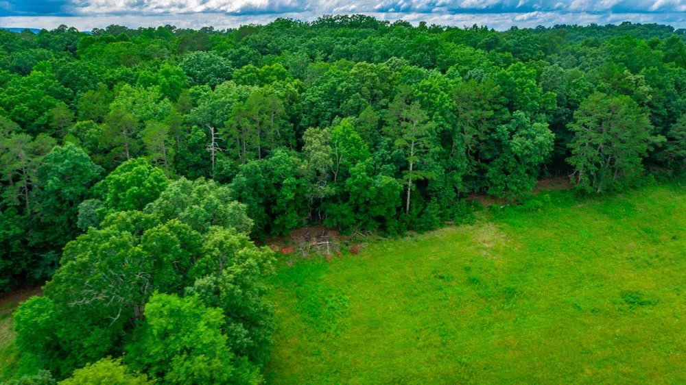 1230 Baggett Road Ringgold, GA 30736