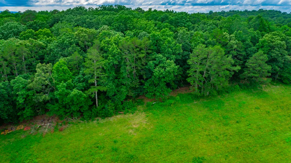 1230 Baggett Road Ringgold, GA 30736
