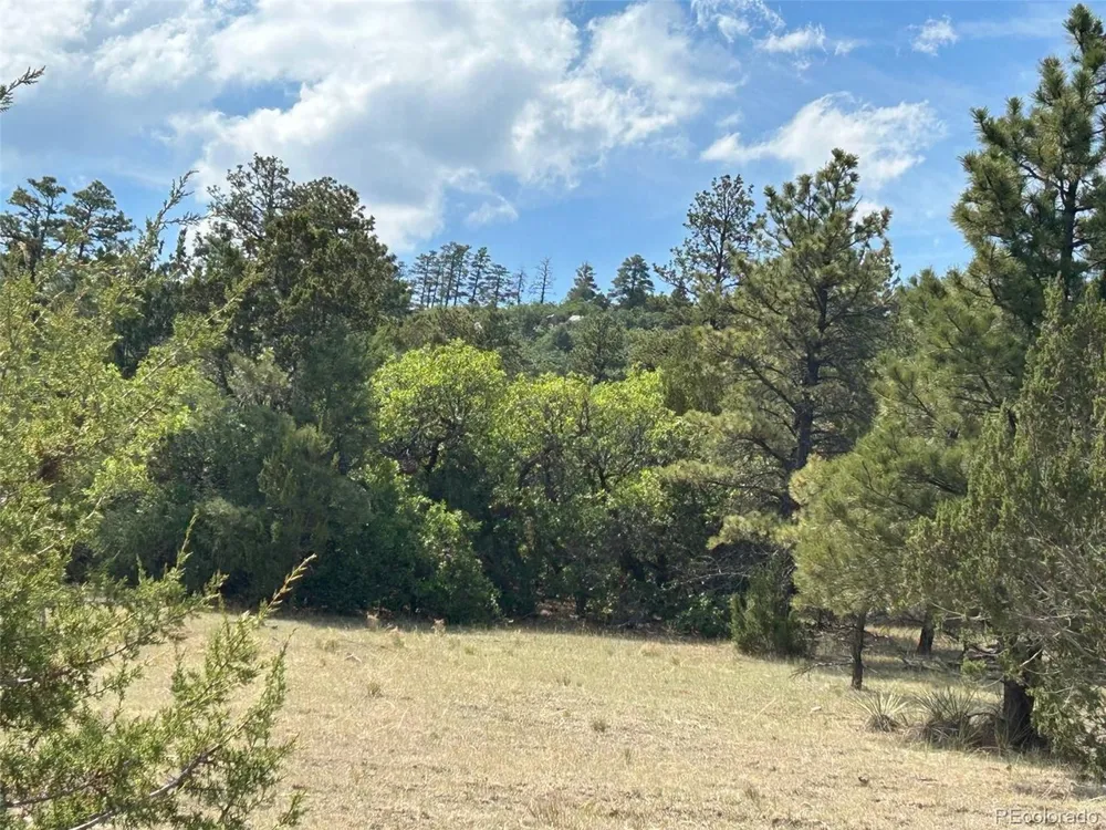 Address Not Shown Beulah, CO 81023