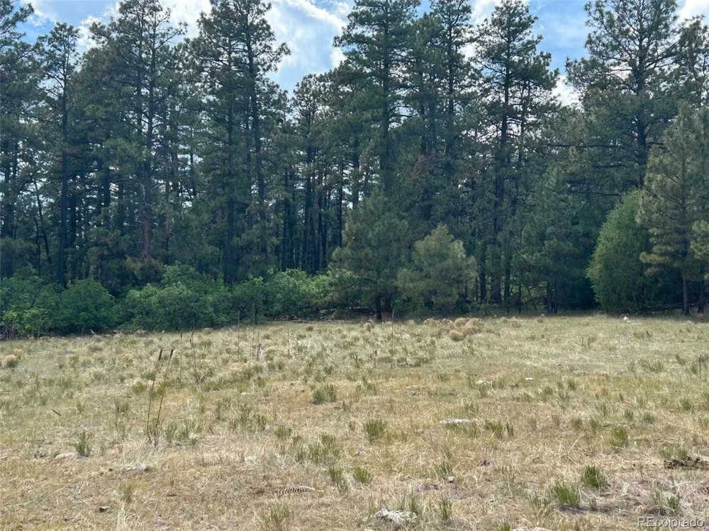 Address Not Shown Beulah, CO 81023