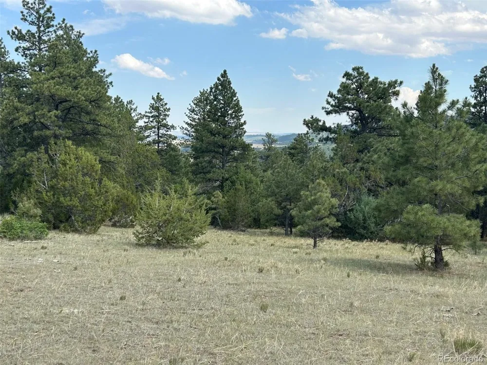 Address Not Shown Beulah, CO 81023