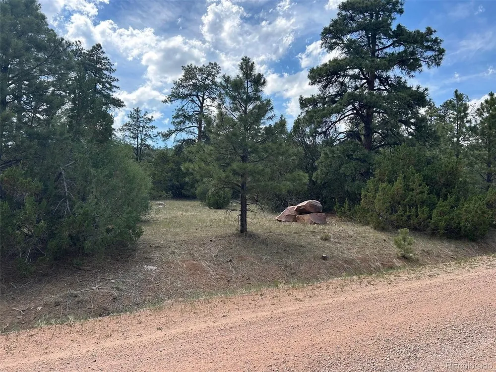 Address Not Shown Beulah, CO 81023