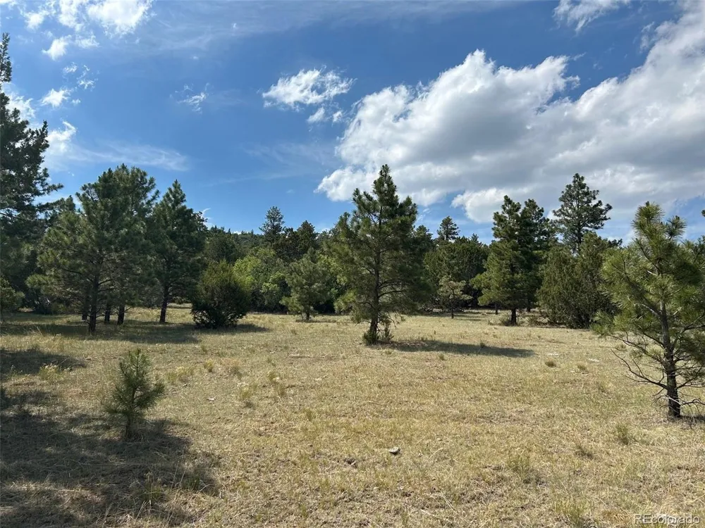Address Not Shown Beulah, CO 81023
