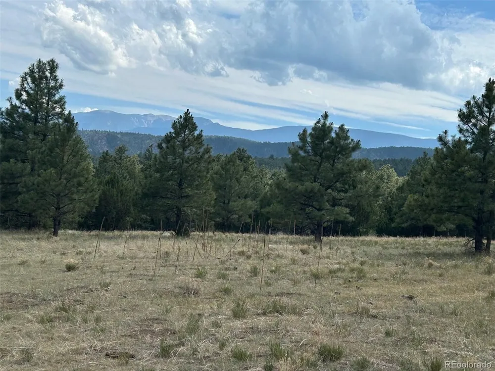 Address Not Shown Beulah, CO 81023