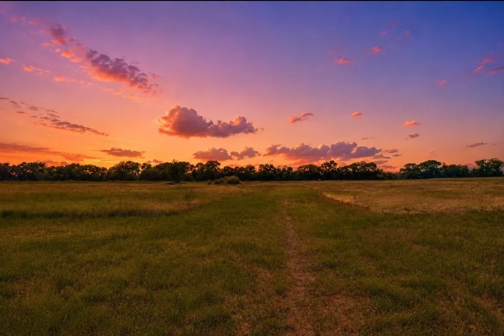 1948 County Road 1255 Savoy, TX 75479