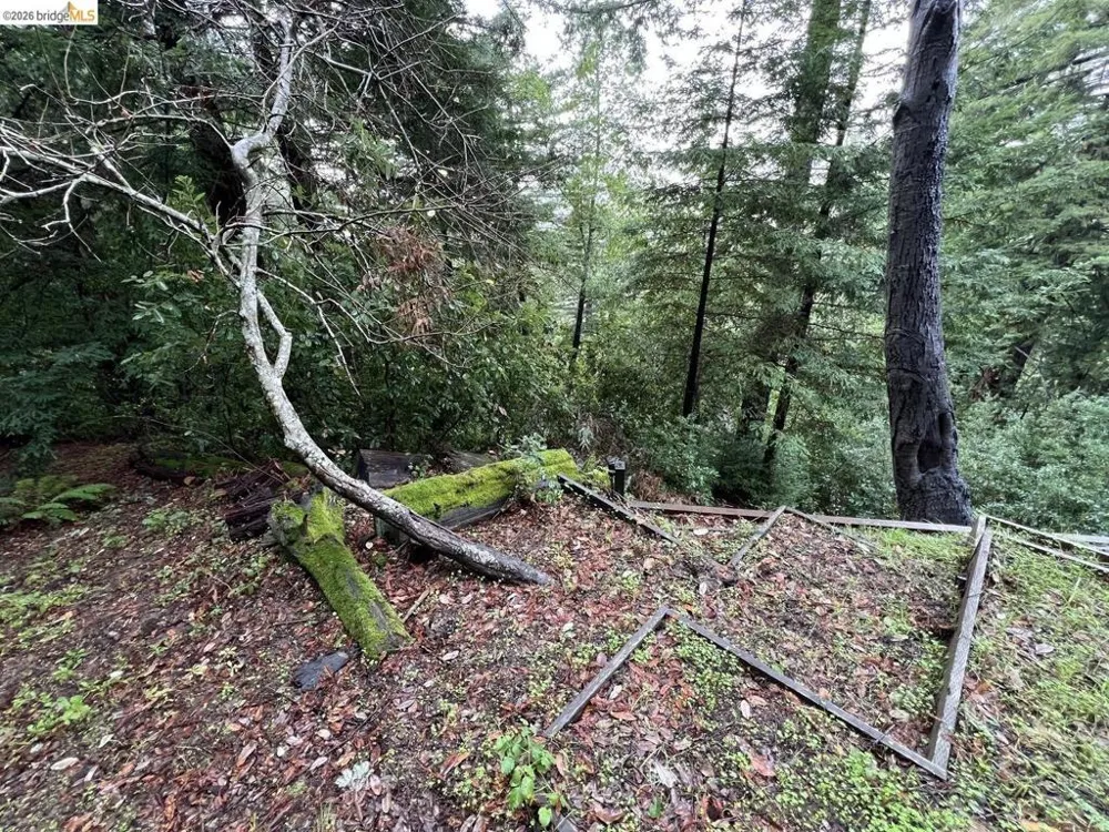 Deer Trail WAY Scotts Valley, CA 95066